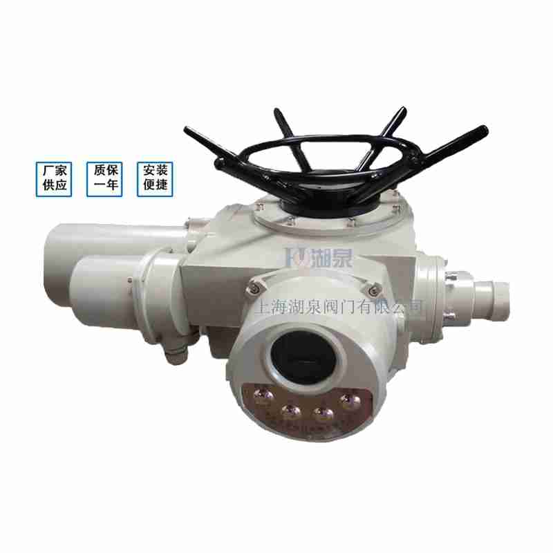 閥門電動裝置（dzw05,10,20，30,45,60，90,12